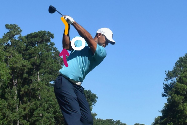 ゴルフスイング 右肘の使い方と右手の動きと右脇の締め方 ゴルニュー